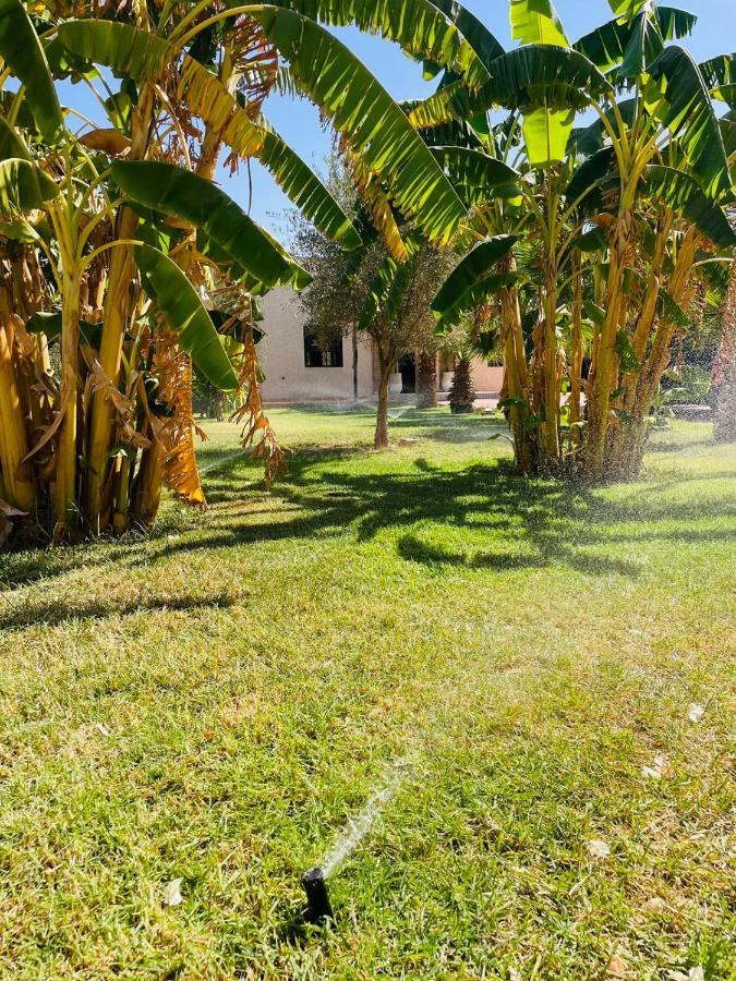 Villa Msholidays Victoria Privatisee Marrakech Marrakesh Extérieur photo
